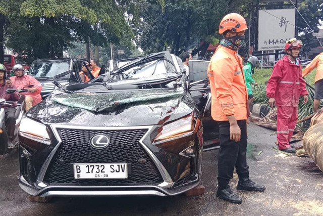 Mobil Lexus ringsek usai tertimpa pohon tumbang di Jakarta Selatan, Minggu (26/10/2025). Foto: BPBD DKI Jakarta