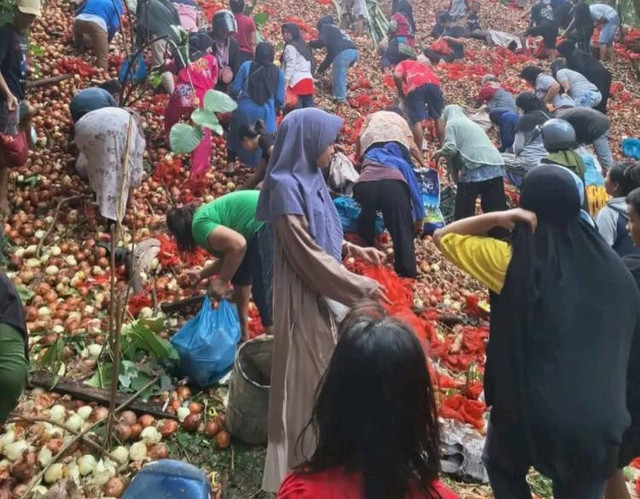 Tangkapan layar video warga memunguti bawang bombai yang dibuang berkarung-karung, di Kota Batam, Minggu (26/10/2025). Dok: Batamnews