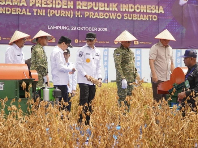 Gubernur Lampung, Rahmat Mirzani Djausal saat mengikuti kegiatan memanen kedelai yang menjadi Program Ketahanan Pangan TNI AL | Foto : Dok. Adpim