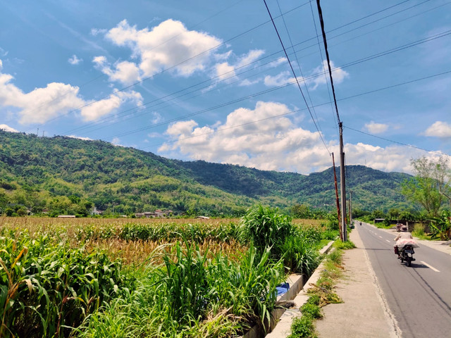 Pemandangan membentang Dusun Jombor yang viral usai menjadi lokasi syuting sebuah film di Kalurahan Srimulyo, Kapanewon Piyungan, Kabupaten Bantul. Foto: Arfiansyah Panji Purnandaru/kumparan
