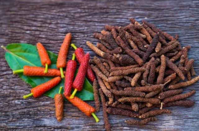 Gambar Cabe Jawa. Shutterstock