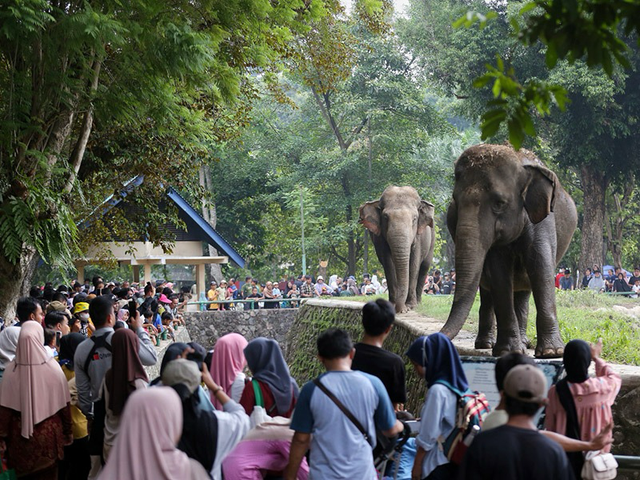 Taman Margasatwa Ragunan (TMR) Mengujicoba Wisata Malam Bertajuk ‘Night at the Ragunan” pada Sabtu (11/10). Foto: Dok. Istimewa.