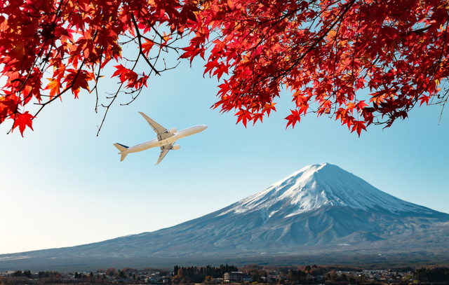 Ilustrasi Jepang. Foto: AppleZoomZoom/Shutterstock