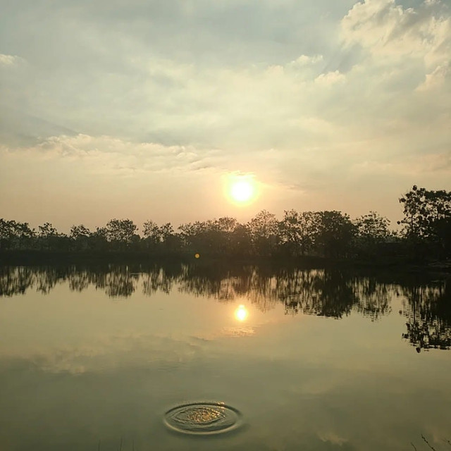 Waduk Rowo Glandang di Desa Gading, Kecamatan Tambakrejo, Kabupaten Bojonegoro. Sumber: dokumentasi penulis 