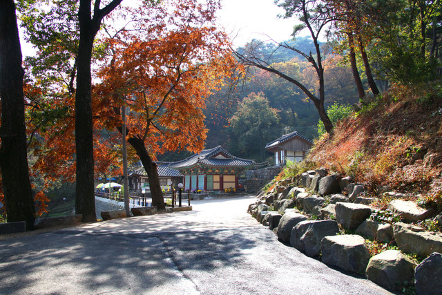Kuil Magok di Gongju, Korea Selatan. Foto: Steve Jangs/Shutterstock