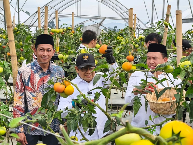 Menko Pemberdayaan Masyarakat, Muhaimin Iskandar, di Koperasi Pondok Pesantren Al-Ittifaq, Kabupaten Bandung, Rabu (5/11/2025). Foto: Linda Lestari/kumparan