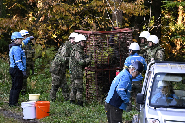Anggota Pasukan Bela Diri Jepang (JSDF) berlatih memasang perangkap beruang di Kazuno, Prefektur Akita, Jepang, Rabu (5/11/2025). Foto: Tom Bateman/REUTERS