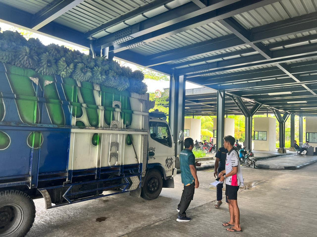 Karantina Aruk, Fasilitasi Ekspor Buah Pisang ke Malaysia