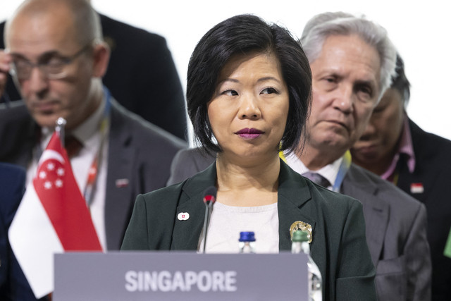 Menteri Negara Senior urusan Luar Negeri dan Dalam Negeri Singapura Sim Ann. Foto: URS FLUEELER/AFP