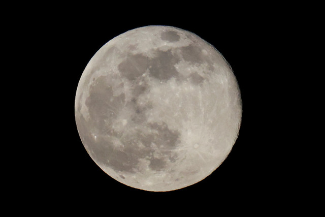 Supermoon Cold Moon. Foto: Henry Romero/REUTERS