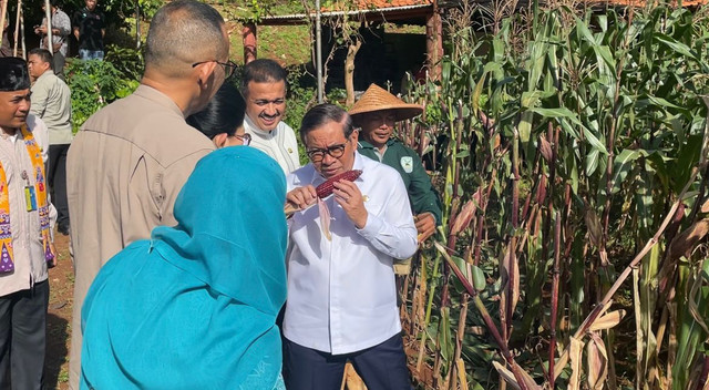 Gubernur Jakarta, Pramono Anung, saat menghadiri acara panen raya, di Kebun Berseri Bintaro, Pesanggrahan, Jakarta Selatan, Jumat (7/11/2025). Foto: Fadhil Pramudya/kumparan
