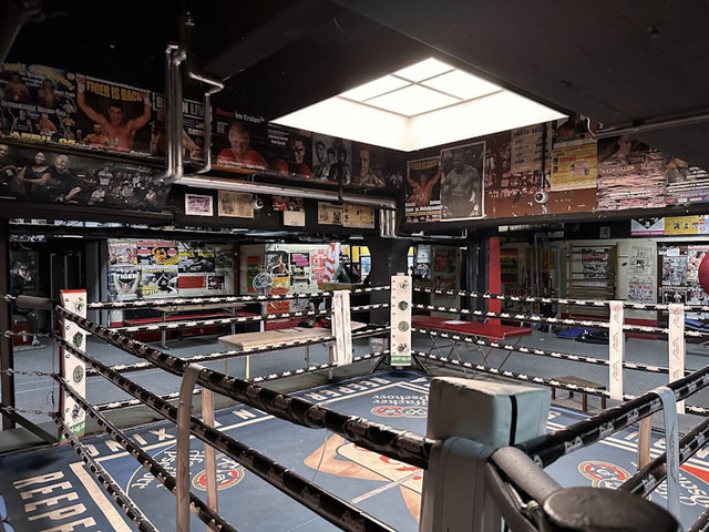 Ilustrasi Biodata Khabib Nurmagomedov, Foto:Unsplash/Rikin Katyal