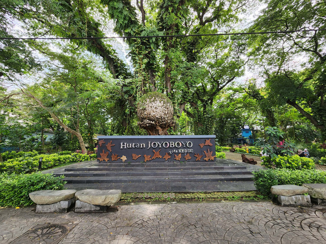 Hutan Joyoboyo, paru-paru hijau Kota Kediri yang menautkan kembali manusia dengan alam. Di tengah rindangnya pepohonan tua, terasa denyut sejarah dan harapan baru, bahwa kota ini tumbuh selaras dengan warisan leluhur dan kesadaran ekologis masa kini. Foto: dok. pribadi