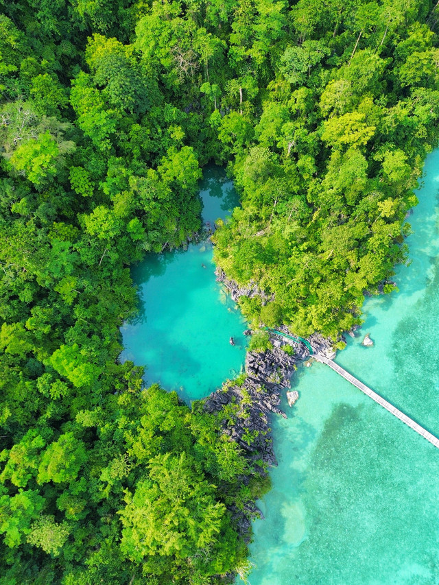 Keindahan Pulau Labengki. Foto: Wang_13/Shutterstock