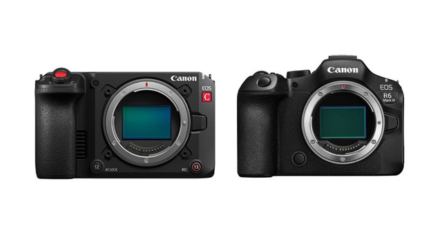 Ilustrasi harga Canon EOS C50 dan EOS R6 Mark III. Foto: Canon