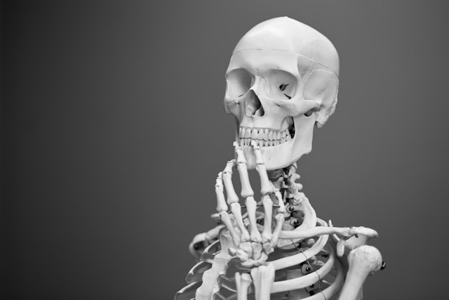 Ilustrasi Kerangka Manusia, Foto:Unsplash/Mathew Schwartz