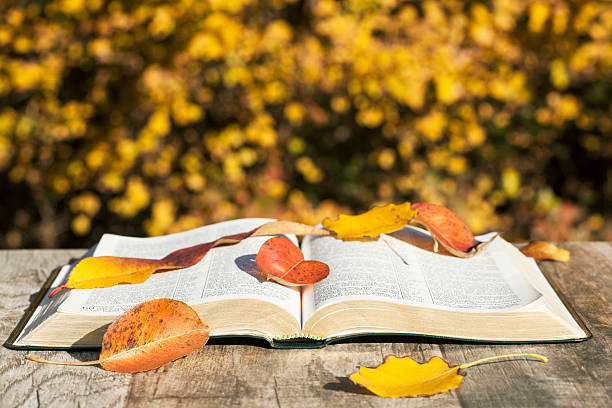 Ilustrasi halaman buku terbuka yang dihiasi daun. (Sumber: https://www.istockphoto.com).