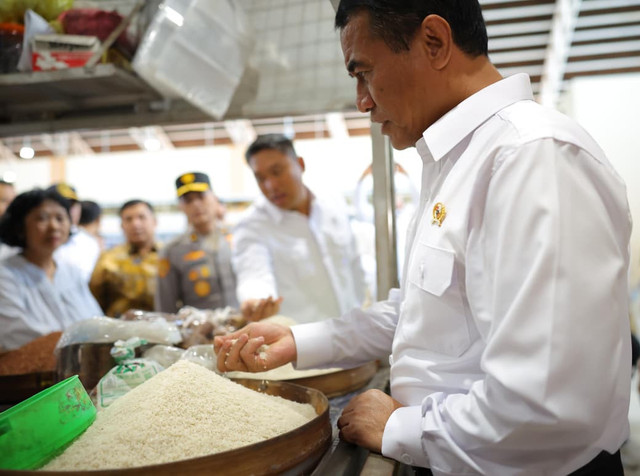 Menteri Pertanian Amran Sulaiman mengecek pasokan beras. Dok. Kementan.
