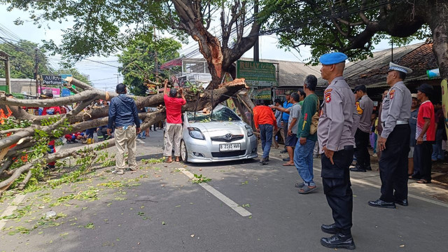 Sejumlah petugas kepolisian meninjau lokasi pohon tumbang saat menimpa mobil berisi Ibu dan Anak di Ciputat. Foto: Dok. Istimewa