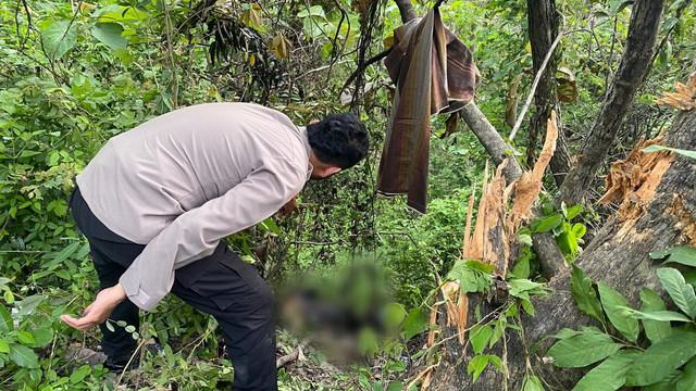 Petugas, saat lakukan olah TKP Kecelakaan lalu-lintas di Jalan Raya Bojonegoro-Nganjuk, turut Dusun Sugihan Desa Kedungsumber, Kecamatan Temayang, Kabupaten Bojonegoro. Sabtu (15/11/2025) (Aset: Istimewa)