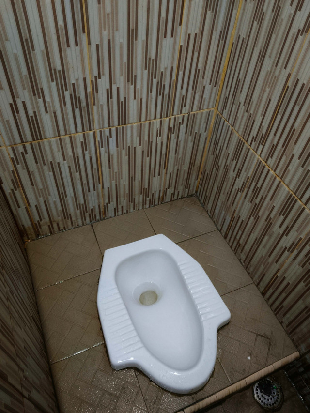 Ilustrasi kloset jongkok. Foto: Fajar Adinda Putra/Shutterstock