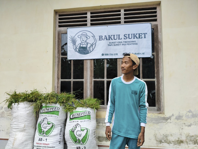 Ngarit online. Riyang Gati (26 tahun) warga Kalurahan Sumberagung, Kapanewon Moyudan, Kabupaten Sleman manfaatkan medsos untuk jualan rumput online. Rumputnya pun sampai Tangerang, Banten. Foto: Arfiansyah Panji Purnandaru/kumparan