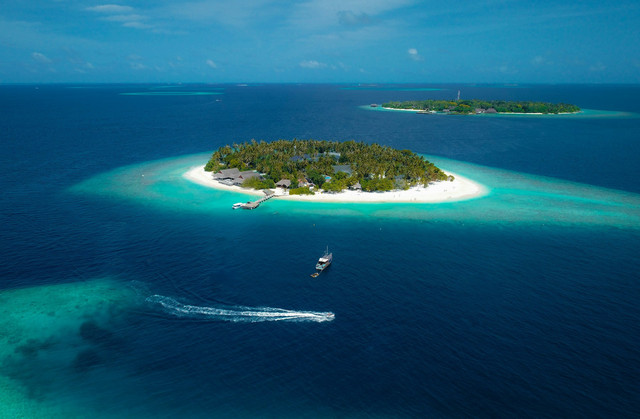 Ilustrasi warna laut tampak biru. Foto: Unsplash