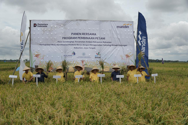Bank Mandiri bersama Universitas Gadjah Mada (UGM) melalui PT Karya Utama Gama (KUGAMA) melakukan panen bersama Program Kewirausahaan Petani di Desa Gedanglegi, Kecamatan Ambal, Kebumen. Foto: Dok. Bank Mandiri