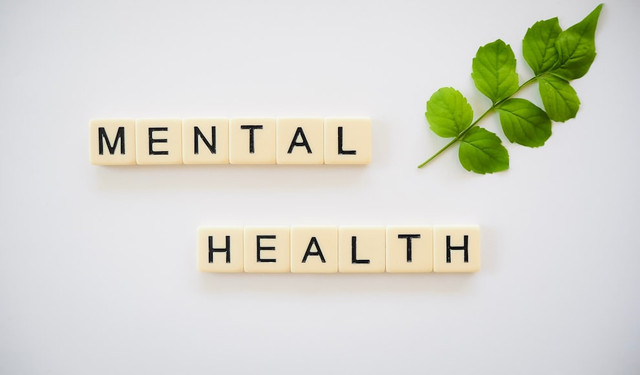 Ilustrasi Pentingnya Menjaga Kesehatan Fisik dan Mental, Foto:Unsplash/Total Shape