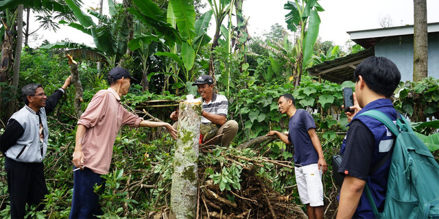 Dukung Desa Ekowisata di Gambuhan Pelamang, DPMA IPB Dampingi Petani Alpukat