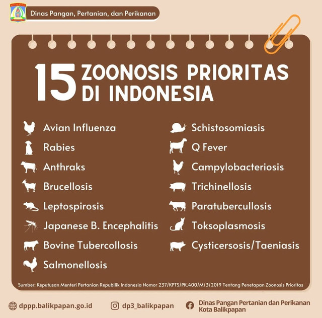 Sumber: Instagram @dp3_balikpapan