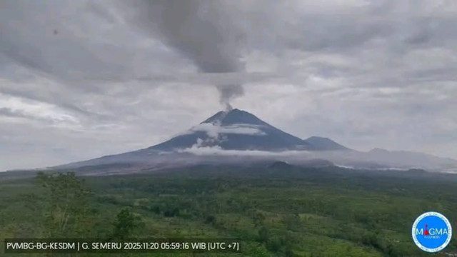Potret terkini Gunung Semeru pukul 11.25 WIB, Kamis (20/11/2025). Foto: Dok. Badan Geologi