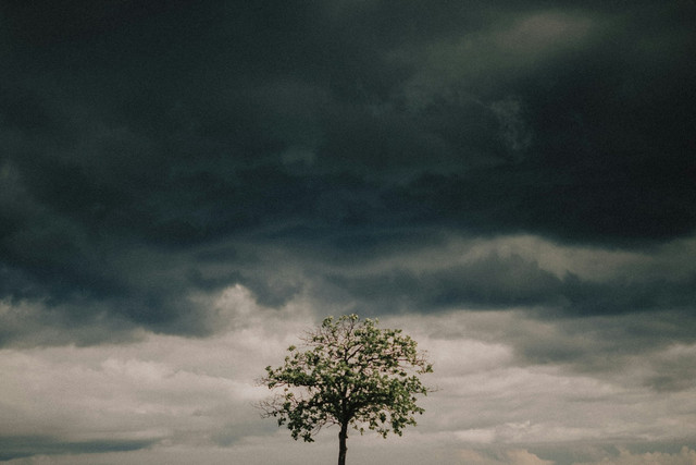 Ilustrasi ciri-ciri udara lembap sebelum hujan turun. Foto: Unsplash