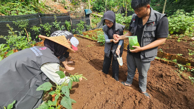 Optimalisasi KWT (Kelompok Wanita Tani RW 08 Ciputat Timur)