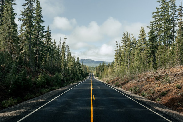 Ilustrasi Jam Operasi Zebra November 2025, Foto:Unsplash/Spencer Backman