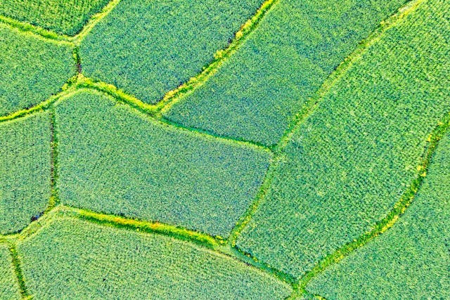 pexels-tomfisk-4311410 (1)