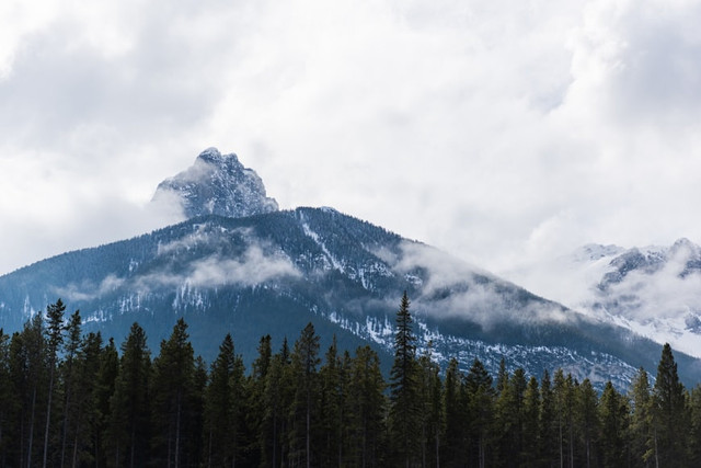 Ilustrasi Apakah Gunung Semeru Meletus dan Sejarahnya seperti Apa, Foto:Unsplash/Tasha Marie
