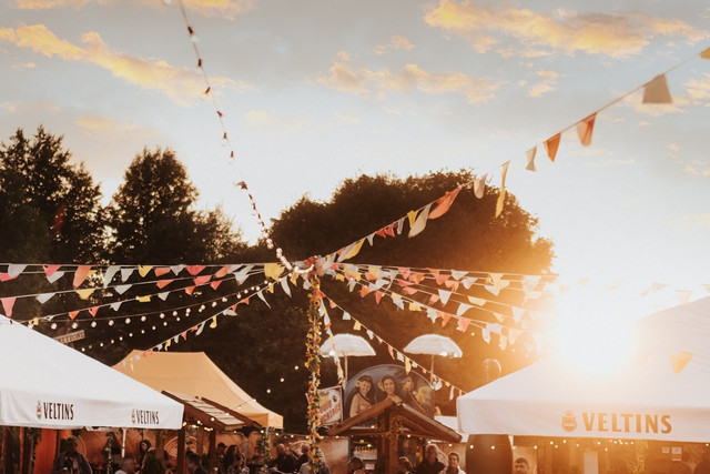Ilustrasi lineup Gesrek Festival. Foto: Unsplash.com/Sebastian Mark