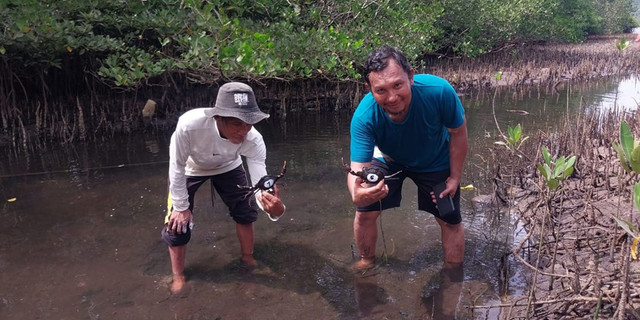 PKSPL IPB dan Pokmas Temburun Restocking Kepiting Bakau di  Pantai Senggalong