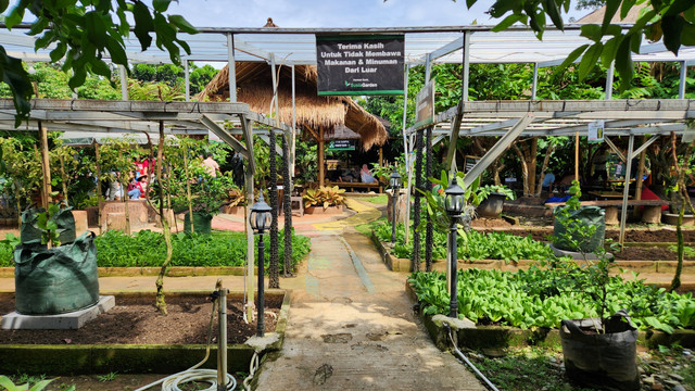 Suasana Susia Garden, restoran Sunda dengan kebun buah dan sayuran. Foto: Azalia Amadea/Kumparan