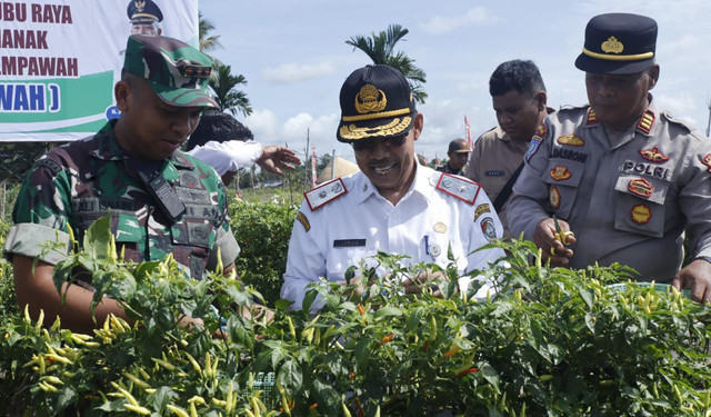 Dandim 1201/Mempawah, Letkol Czi Ali Isnaini, ikut hadir dalam kegiatan panen cabai rawit serentak KUPONWAH. Foto: Dok. Pendim Mempawah