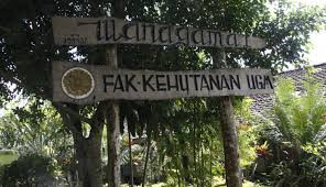 Ilustrasi hutan Wanagama. Foto: Dok. UGM