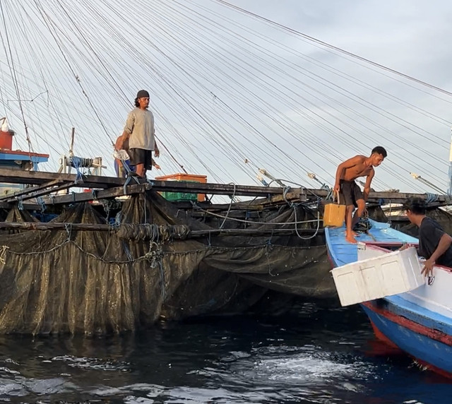 Nelayan di Pulau Maratua, Kabupaten Berau, Kalimantan Timur Mengambil Hasil Ikan Tangkapan, Selasa (25/11). Dok: Abdul Latif/kumparan