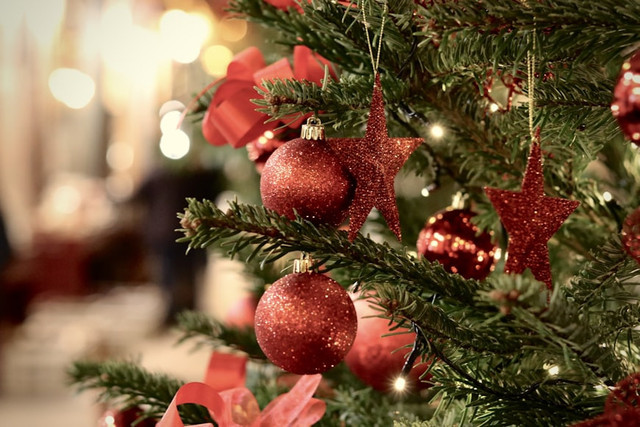 Ilustrasi Christmas Light Urban Forest, foto: unsplash/Fabien Maurin