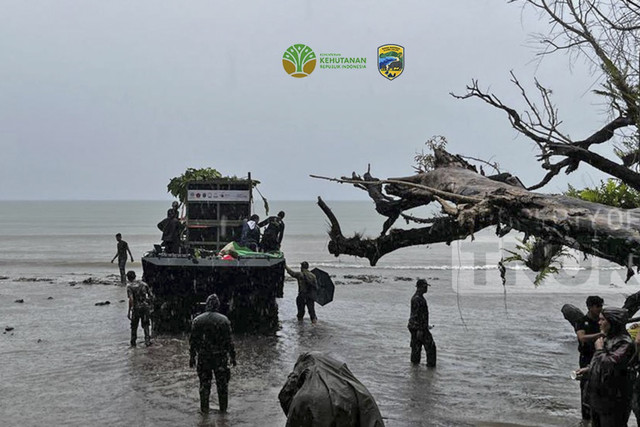 Upaya pemindahan Musofa dari hutan ke sebuah paddock di Javan Rhino Study and Conservation Area (JRSCA), Taman Nasional Ujung Kulon (TNUK), Banten. Foto: Instagram/ @btn_ujung_kulon