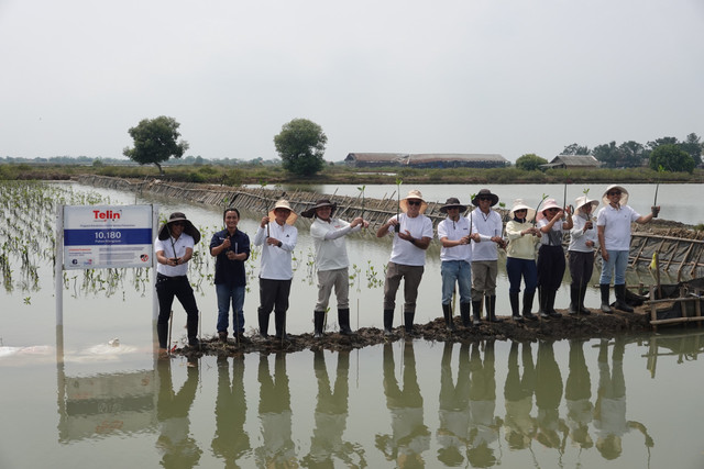 Kegiatan Penanaman 10.180 Mangrove yang menjadi bagian dari realisasi Collective Carbon Action BATIC 2025 di Tanjung Pakis, Jawa Barat, beberapa waktu yang lalu. Foto: Telkom