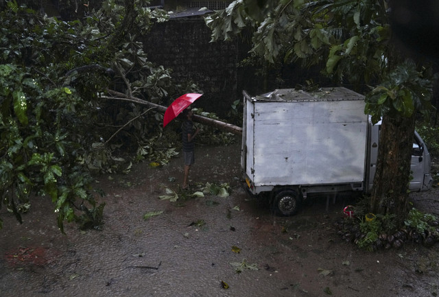 Seorang pria berdiri di dekat pohon yang tumbang setelah hujan deras di Kelaniya, Sri Lanka, Jumat (28/11/2025). Foto: Thilina Kaluthotage/Reuters