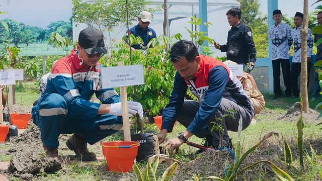 Aksi menanam pohon yang dilaksanakan oleh PT Pertamina EP Cepu (PEPC) Lapangan Jambaran-Tiung Biru (JTB), di Bojonegoro. (Aset: Istimewa)
