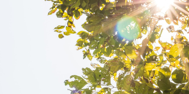 Ilustrasi paparan sinar matahari (freepik)