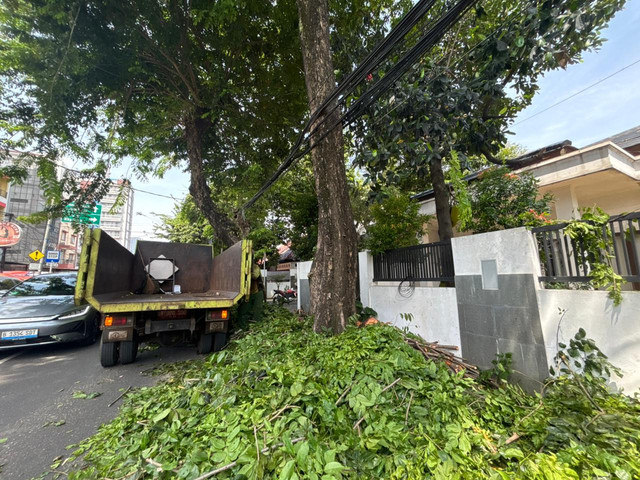 Pemangkasan pohon di Jalan Haji Nawi, Jakarta Selatan pada Sabtu (29/11). Foto: Amira Nada Fauziyyah/kumparan